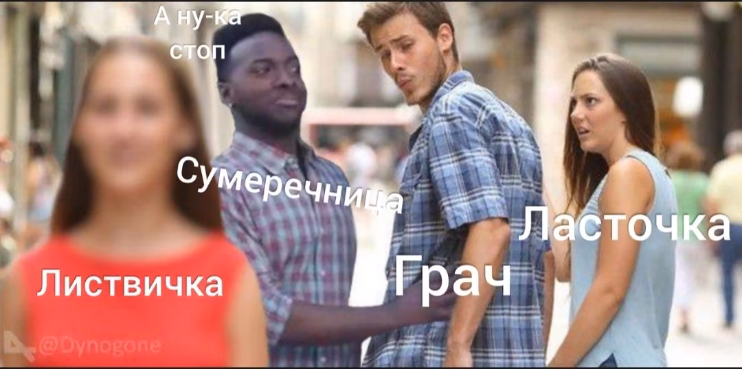 e0e10312b5861946b357b7e67b1db7de.avif