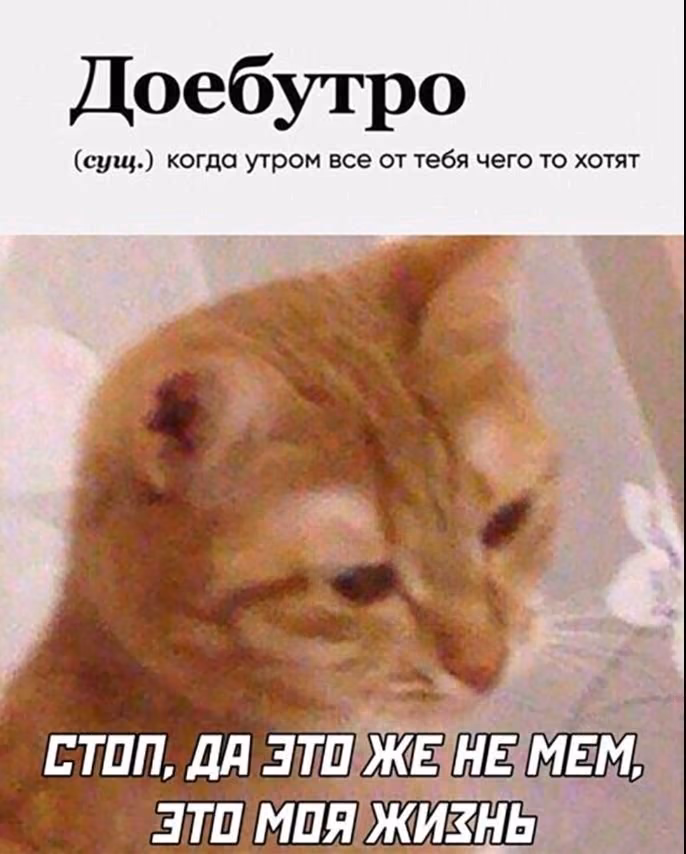 e0e94de81231c6cea28d2906a0f18e8c.avif