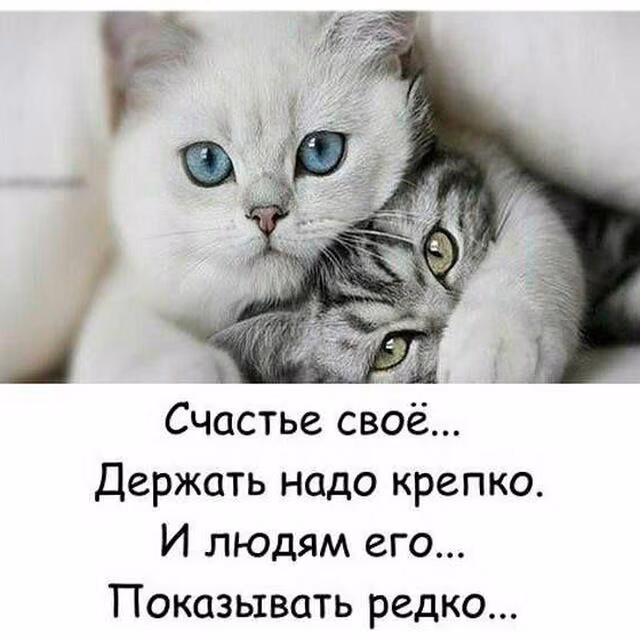e0ffef44001d50d105b538ee499f3826.jpg