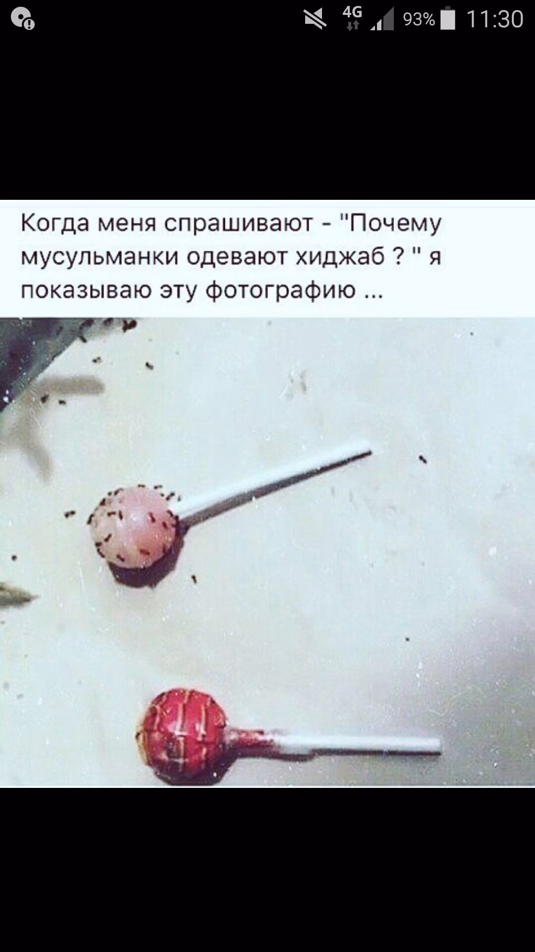 e111a27228f03fa140a9db17e0455935.jpg