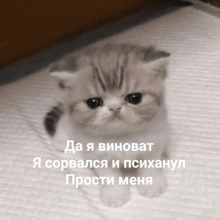 e114ddcdee6d712c83d59cdd9644e974.avif