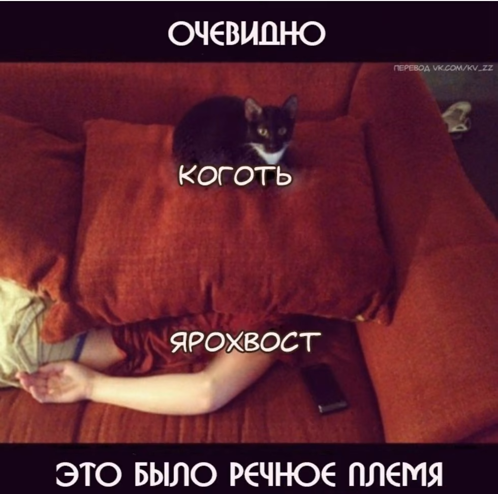 e11d97ce764397ee94c85ce120684519.avif