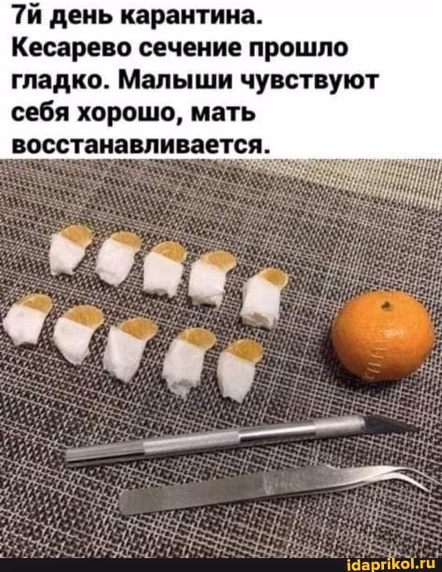 e1245d498772a5ccd10cd36e4cee315c.avif
