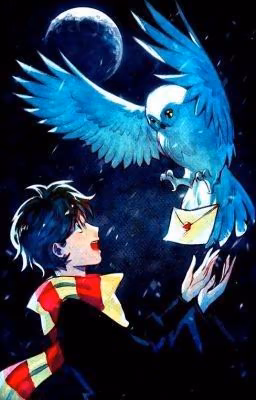 e1293173f6636f881cc9678d8af30751.avif