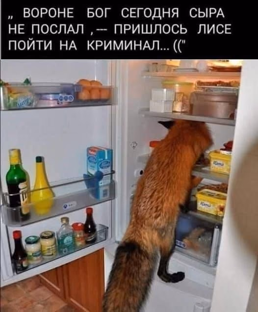 e135b7df12b638fdb986b85163879832.avif