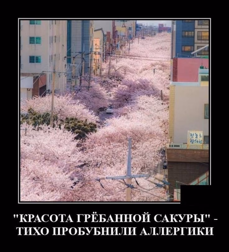 e1495ff07e73931fe0e4dfdbaefafb1c.avif