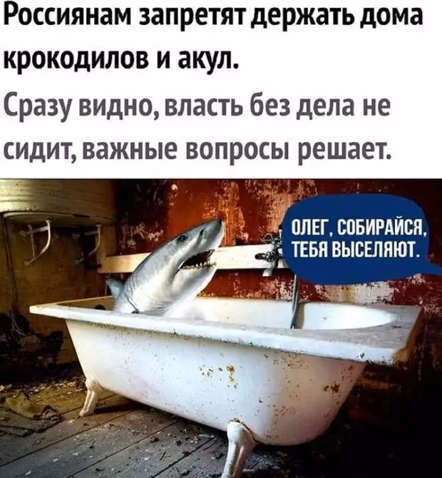 e15d3da010d99be3409dce5234d0bd74.avif