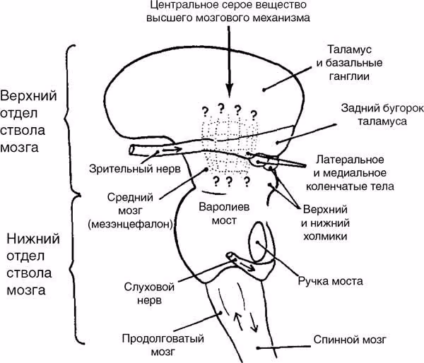 e198d4a60efba8a34f0b0df1215edd1c.avif