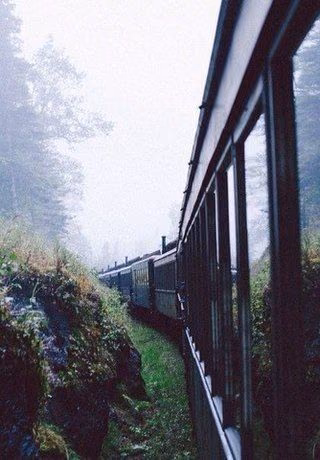 e19da99a0ca42e58b77246642b5f5409.jpg