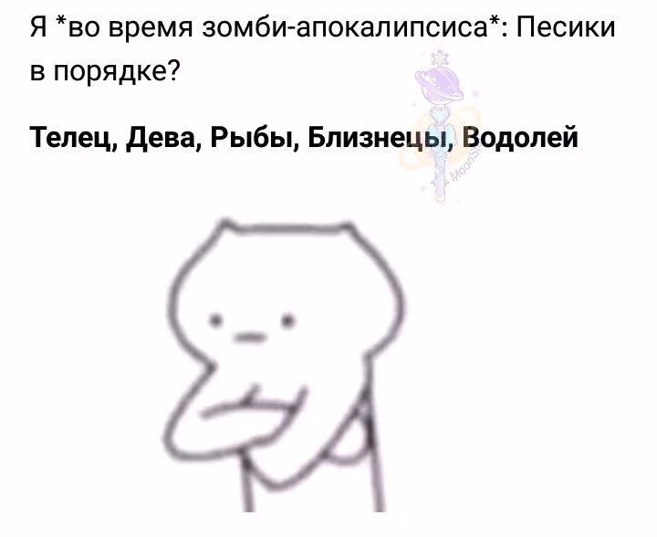 e19e687941459a7897929e851dfd963e.avif