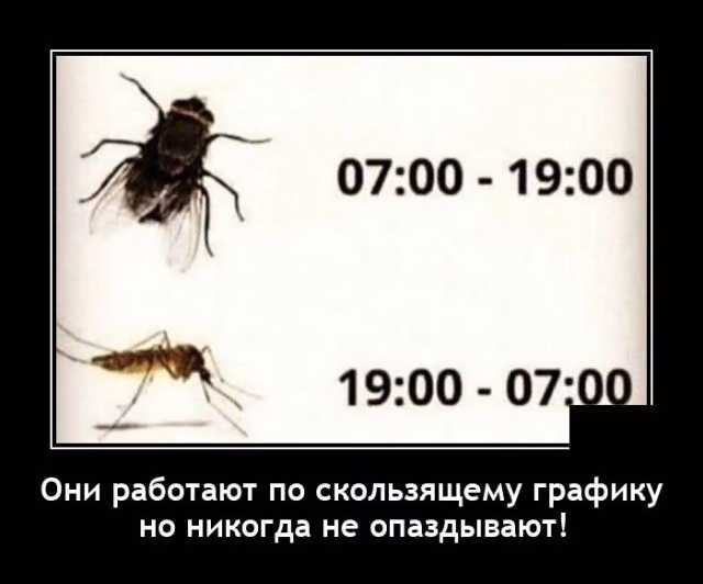 e19f13b2e41ca988b0ba6fe10db55bcb.jpg