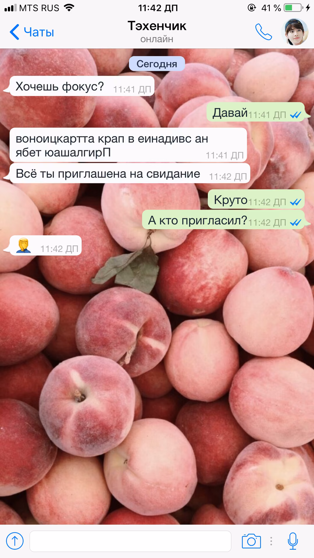 e1a0c806b45a780548ae29c03872835c.avif