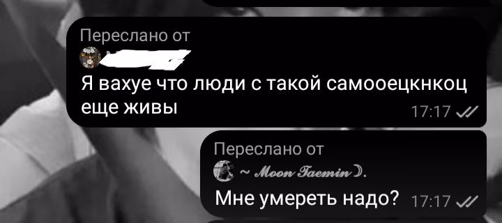 e1a7f8c93be4ccb3951e03c0d7f8844a.avif