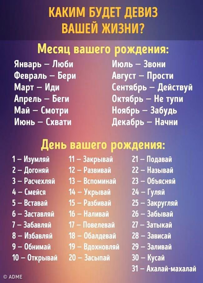 e1b2c649a7f012335925ae55bddcdd53.avif