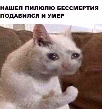 e1b4c27e152dc6bbf687bc40ed9c8c74.avif