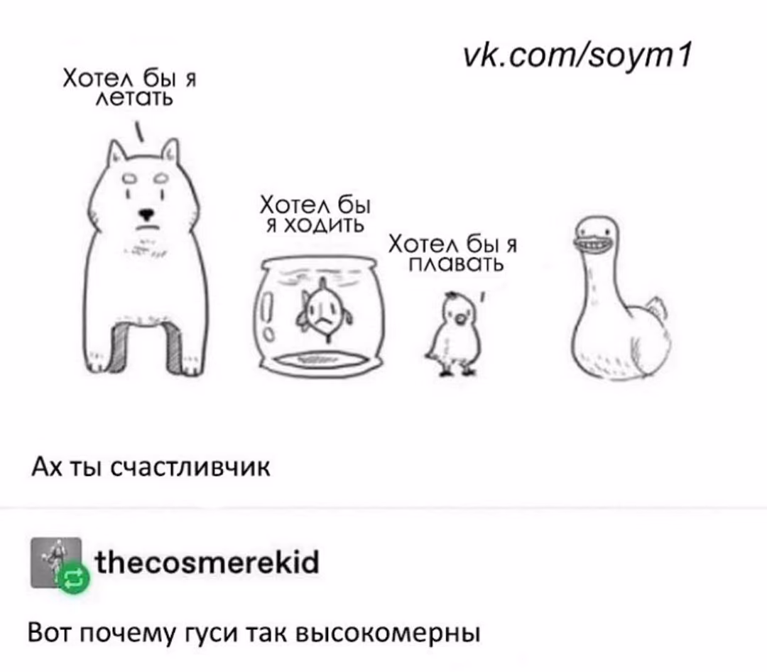 e1c033a2111699cf5b87af345471ecfb.avif