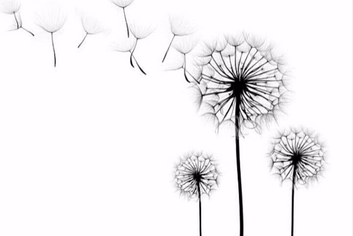 e1d6c519c47bdc83bf3d332f0ac356ba.jpg