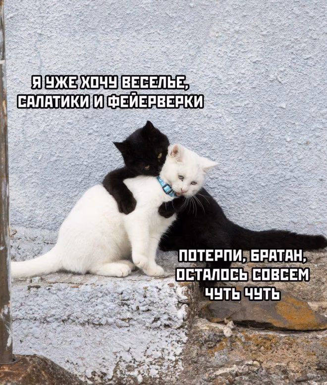e1eb1e1dc3fda62f8a5ea5d0e5c983c4.jpg