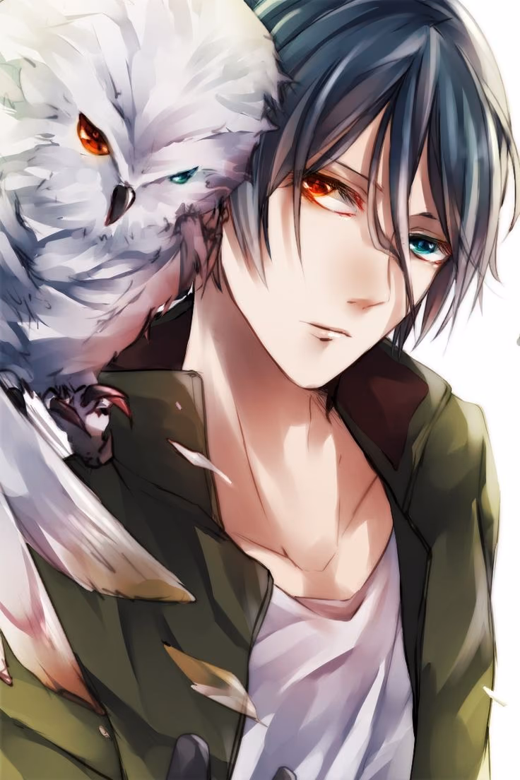 e20a13a56121bac85b6ea6b61301a5b7.jpg