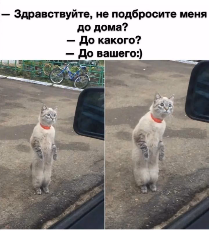 e20c027d3c807e9c1458169d46465d5c.jpg