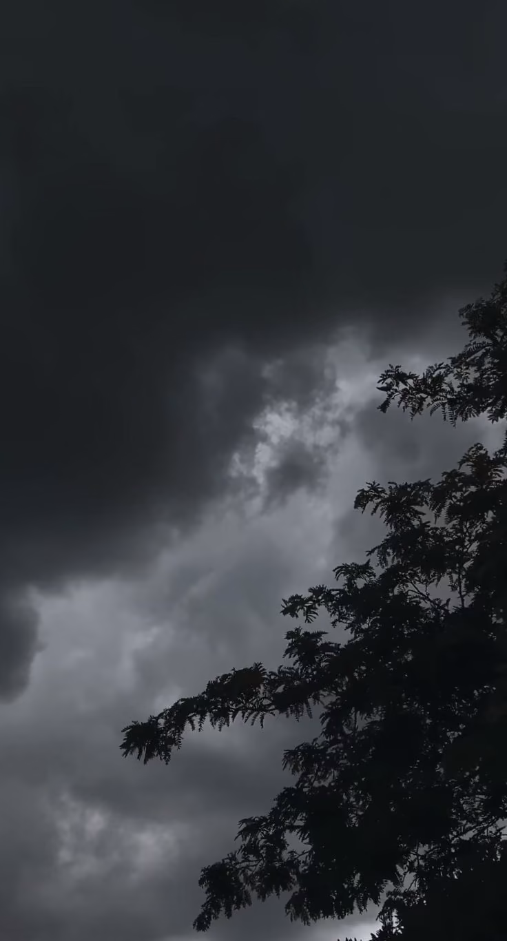 e212ccd513289aacadd38f808e4dd042.avif