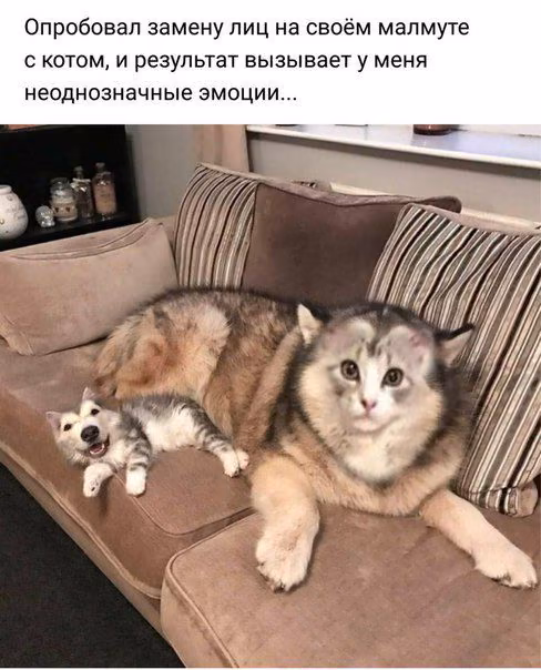 e22389379beb87885b888196d06f0557.avif