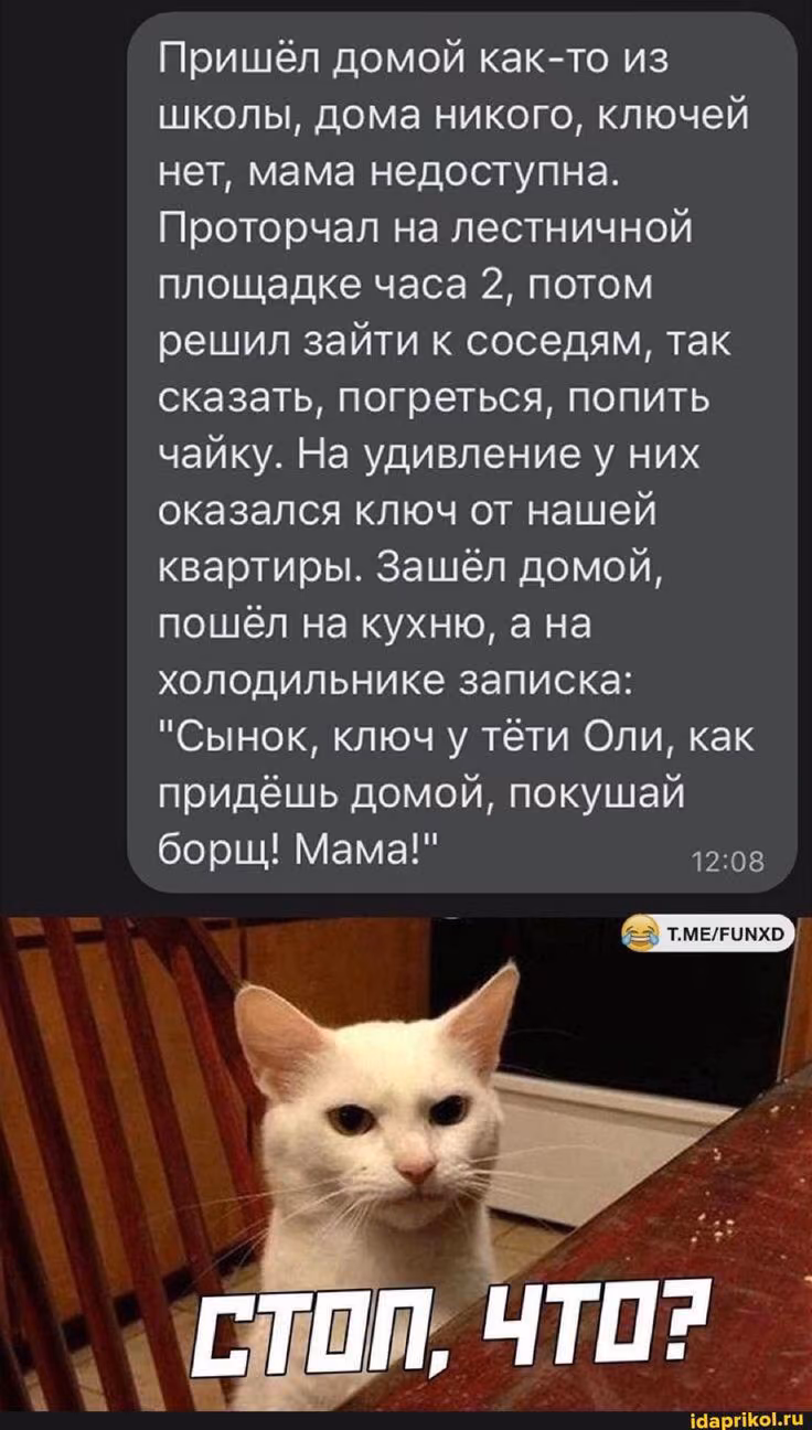 e245f86591bb18fa9f770cfcf30025c0.avif