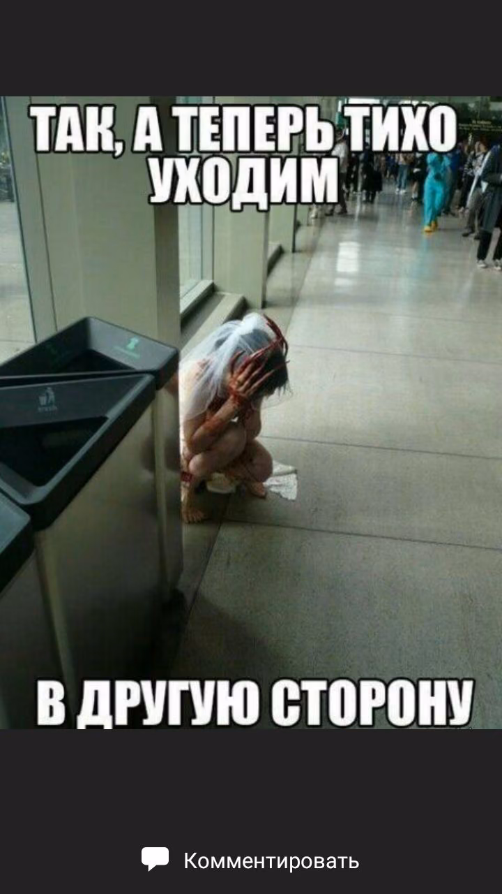 e24628f029370a2e853c6289fe280e6d.avif