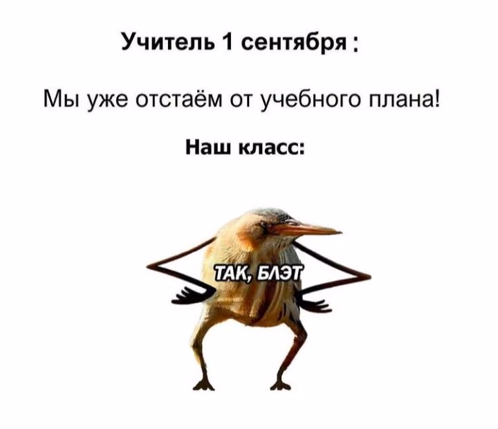 e24a793862c773fe040dc212c3c2dcbf.avif