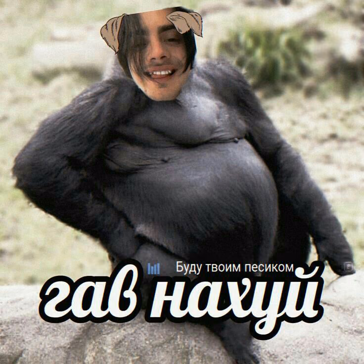 e25bae8ee7a5e45ae63e6441dbbb79b5.jpg
