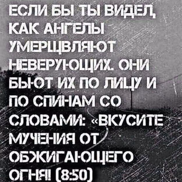 e25bcd90523d02ca1932257f9ba5c164.jpg