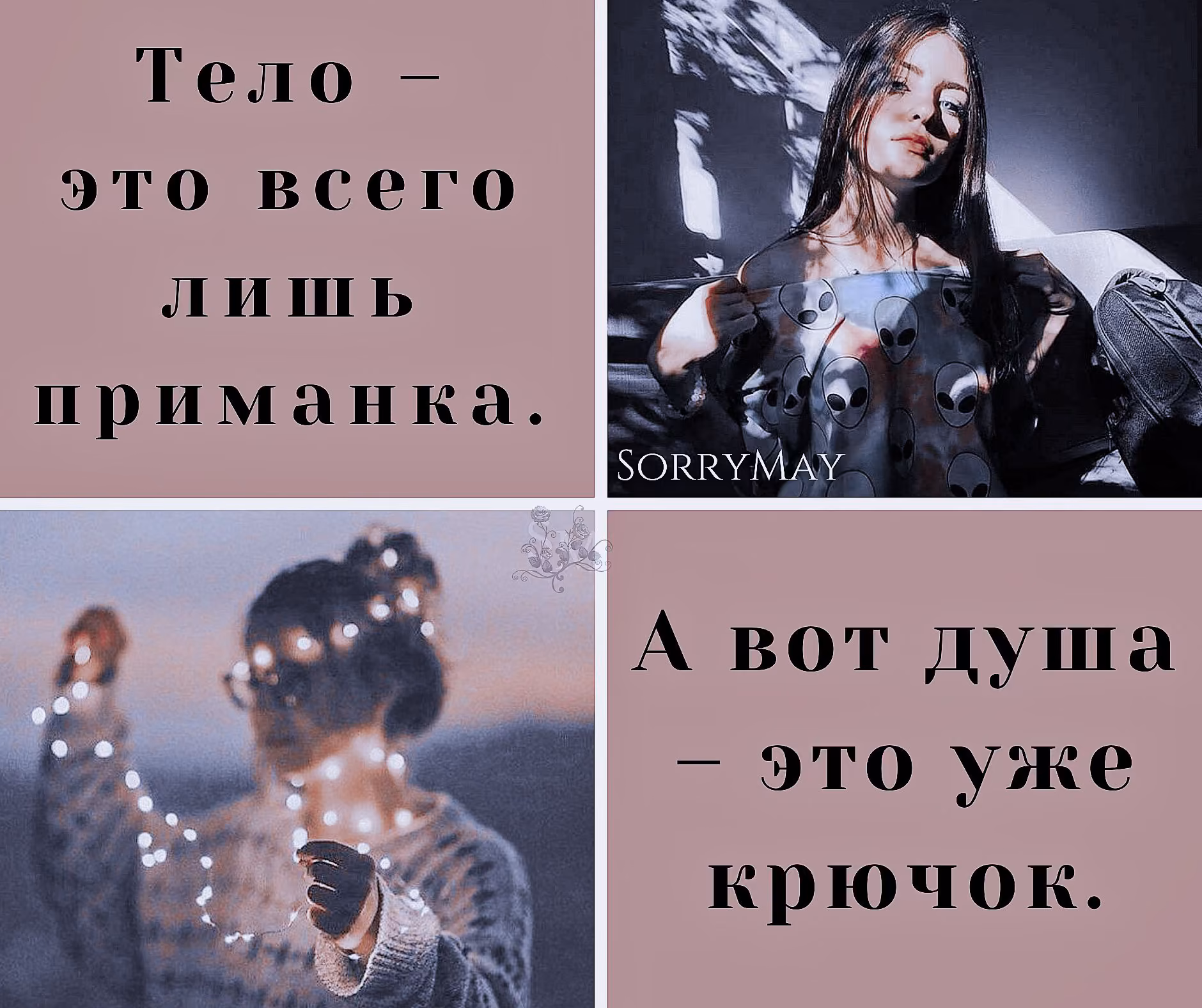 e25c4ab69d879e30e4d3cbe278023b09.avif