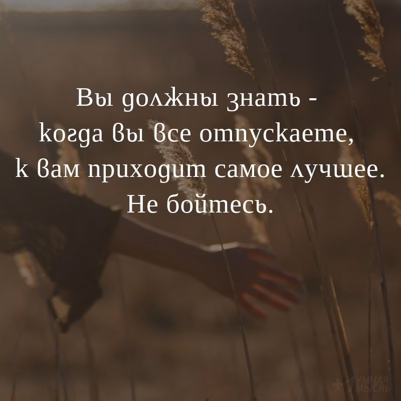 e262da7e92556d70b7f6413a28ff06dd.jpg