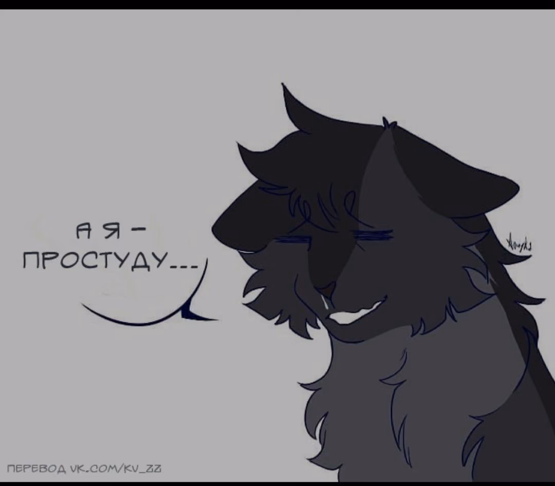 e2774b2f62a60d61f0c38c4dd1f35d80.avif
