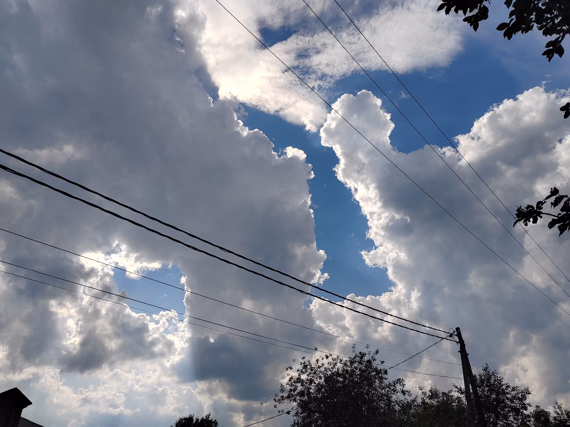 e278723cc2b0d53c8fd5ac1da9ceb136.jpg