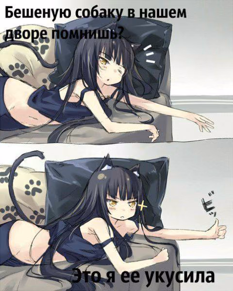 e294d739010d0bb8495f40997b090ef1.avif