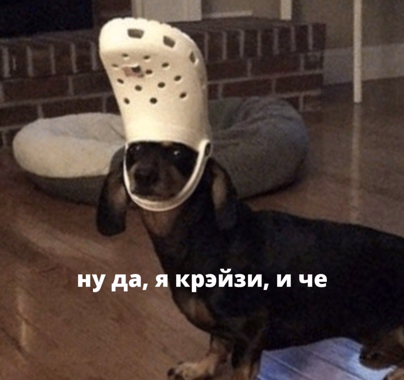 e2b6e1e10ba44541a9b50089209a653e.avif