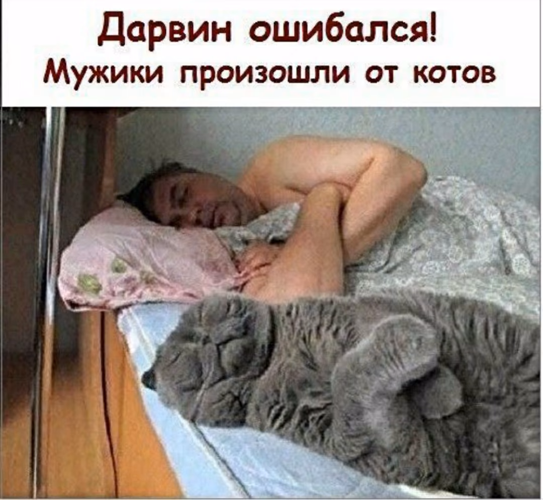 e2b806809a869fd8c7a159178d5be45e.avif