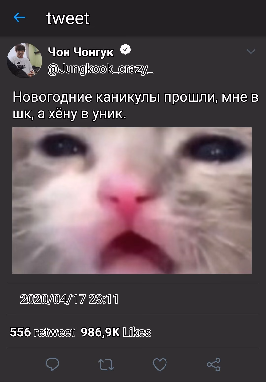 e2bc4bea93884f0e5d6199994eeca5d4.jpg