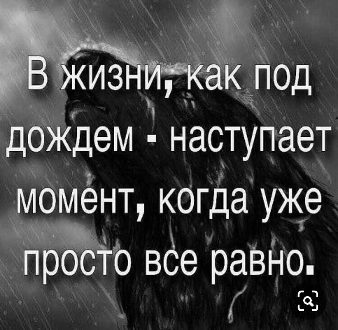 e2e32883d95ad056c8883cf37e81d9ae.jpg