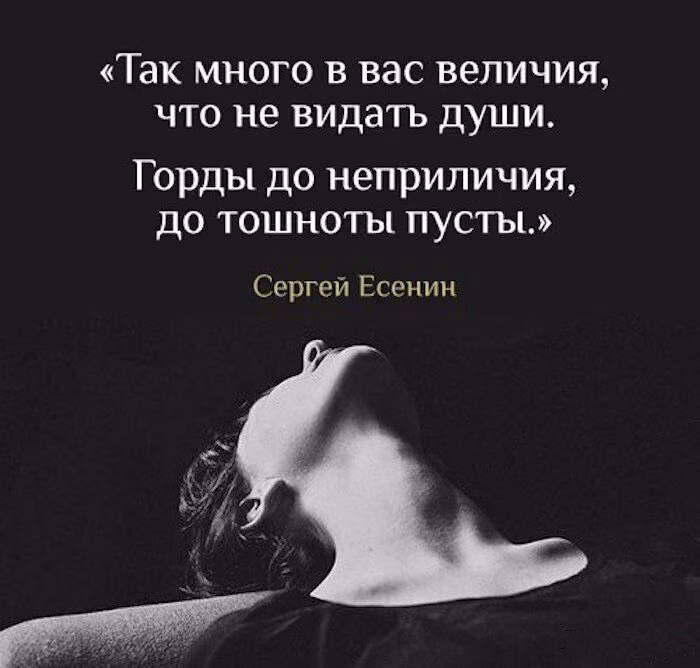 e2e39c1f7cc3ec46f58a9b0ec3740aa7.avif