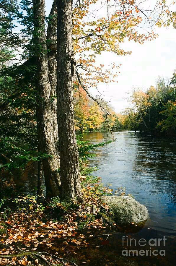 e2e6ffe5f40e3fc36589d5b3f9139703.avif