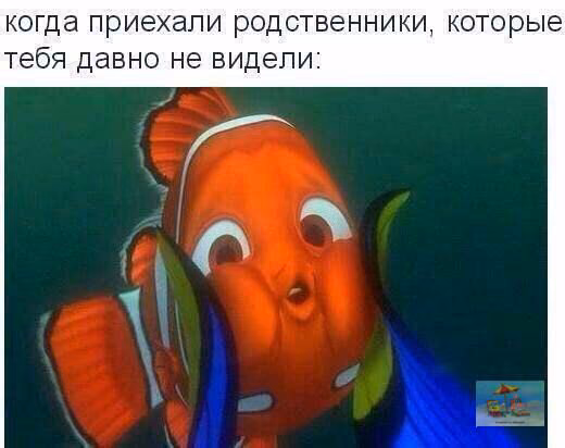 e308ad80a5d5532b84e9f02b28d658d6.avif