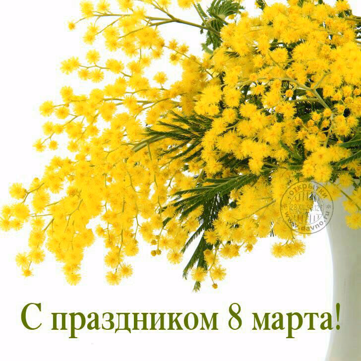 e30996c922d0f10abb824bb7c9d9e2ec.avif