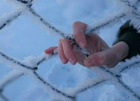 e31b717fbc6e22da244f0c56d0c957bd.jpg