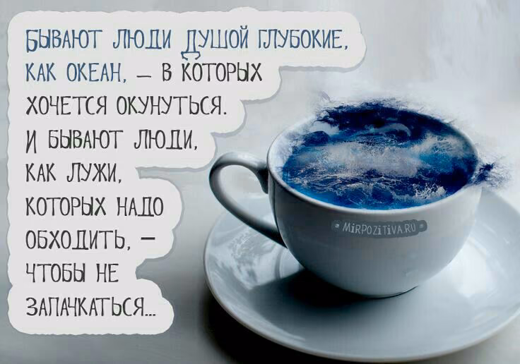 e367a20e62f3031d3c7aa73860692387.jpg