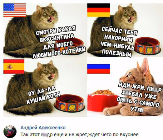 e36d6c9a0ec4351be879067b17781e3d.avif