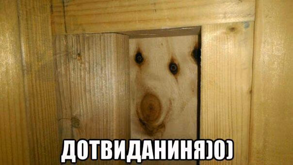 e37e13d0e41a917c0fbc2178affdb554.jpg