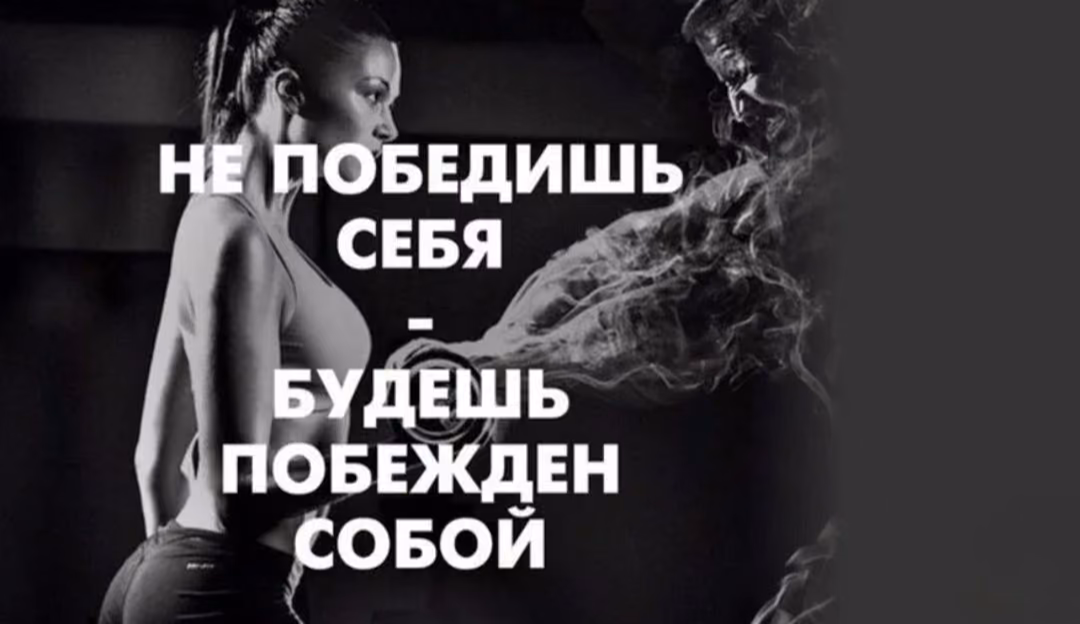 e38675ae3c13ff440c5a5642d1002347.avif