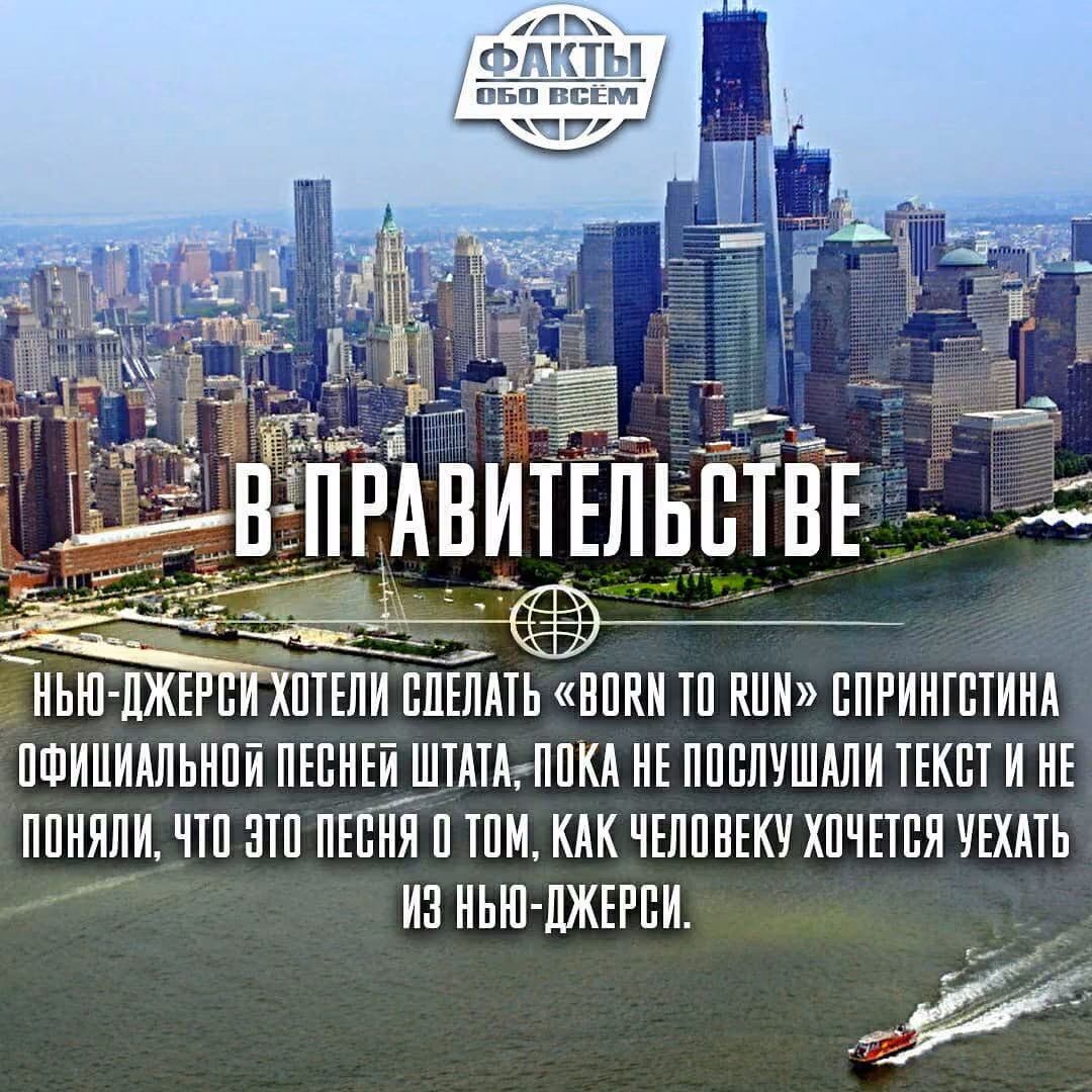 e386da7933bacd4a68428f9331af7610.jpg